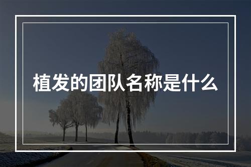 植发的团队名称是什么