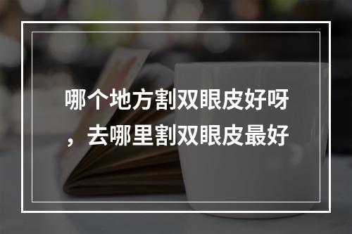 哪个地方割双眼皮好呀，去哪里割双眼皮最好