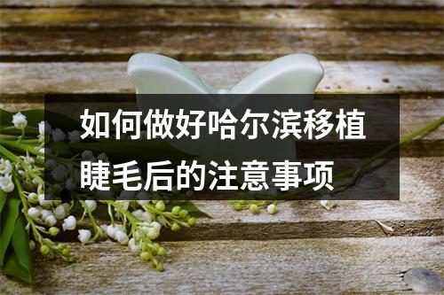 如何做好哈尔滨移植睫毛后的注意事项