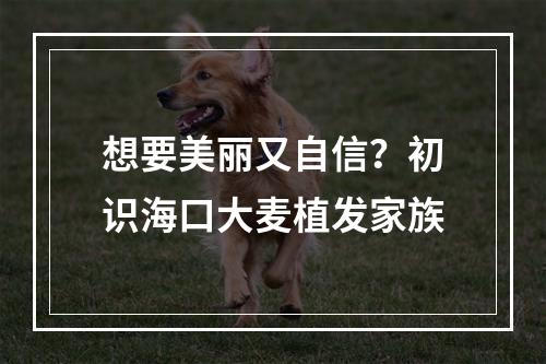 想要美丽又自信？初识海口大麦植发家族