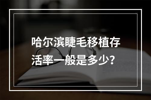 哈尔滨睫毛移植存活率一般是多少？