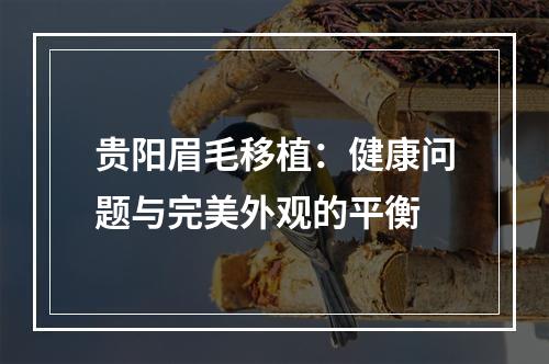 贵阳眉毛移植：健康问题与完美外观的平衡