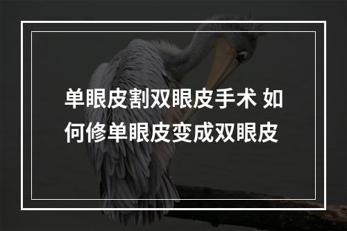 单眼皮割双眼皮手术 如何修单眼皮变成双眼皮