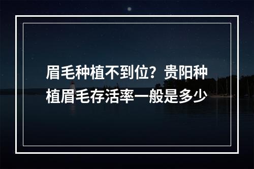 眉毛种植不到位？贵阳种植眉毛存活率一般是多少