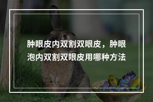 肿眼皮内双割双眼皮，肿眼泡内双割双眼皮用哪种方法