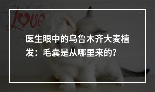 医生眼中的乌鲁木齐大麦植发：毛囊是从哪里来的？