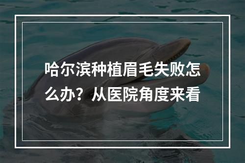 哈尔滨种植眉毛失败怎么办？从医院角度来看