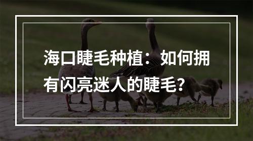 海口睫毛种植：如何拥有闪亮迷人的睫毛？