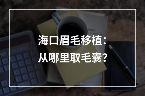 海口眉毛移植：从哪里取毛囊？