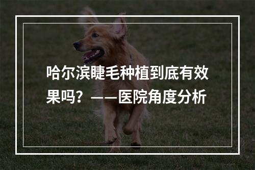 哈尔滨睫毛种植到底有效果吗？——医院角度分析