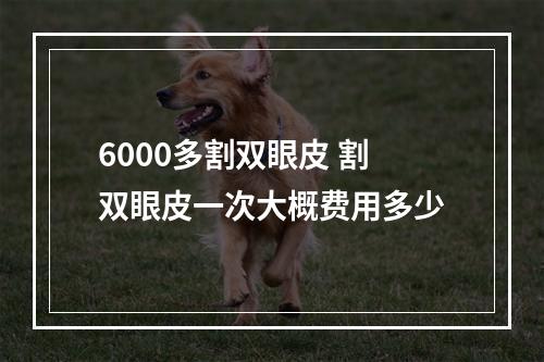 6000多割双眼皮 割双眼皮一次大概费用多少