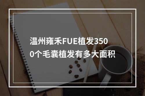 温州雍禾FUE植发3500个毛囊植发有多大面积