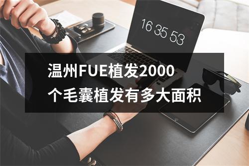 温州FUE植发2000个毛囊植发有多大面积