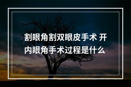 割眼角割双眼皮手术 开内眼角手术过程是什么