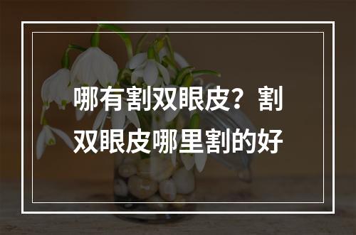 哪有割双眼皮？割双眼皮哪里割的好