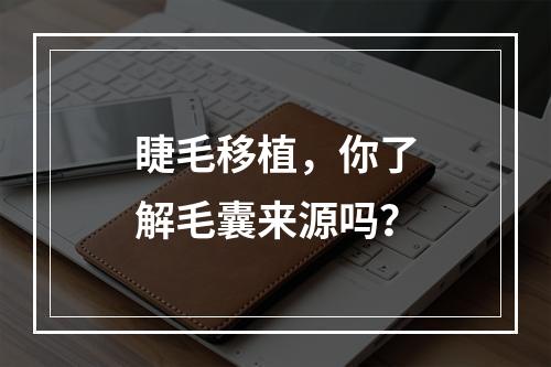 睫毛移植，你了解毛囊来源吗？