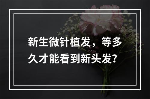 新生微针植发，等多久才能看到新头发？