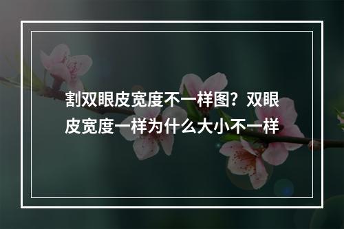 割双眼皮宽度不一样图？双眼皮宽度一样为什么大小不一样