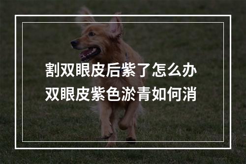 割双眼皮后紫了怎么办 双眼皮紫色淤青如何消