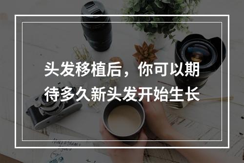 头发移植后，你可以期待多久新头发开始生长