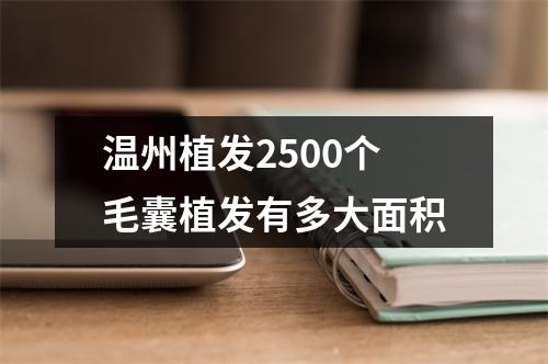 温州植发2500个毛囊植发有多大面积