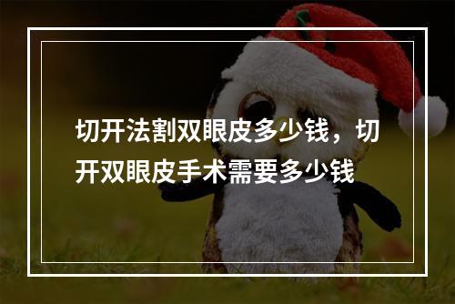 切开法割双眼皮多少钱，切开双眼皮手术需要多少钱