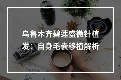 乌鲁木齐碧莲盛微针植发：自身毛囊移植解析