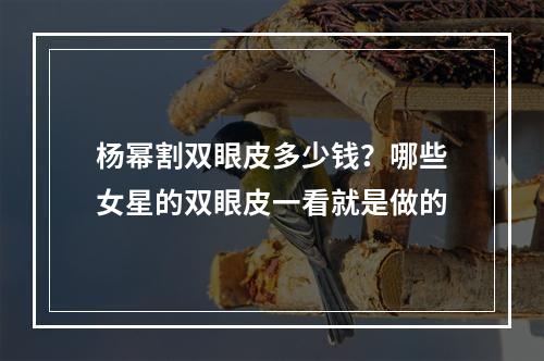 杨幂割双眼皮多少钱？哪些女星的双眼皮一看就是做的