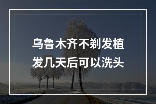 乌鲁木齐不剃发植发几天后可以洗头