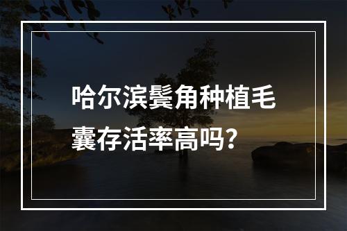 哈尔滨鬓角种植毛囊存活率高吗？