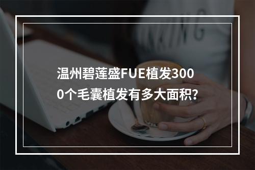 温州碧莲盛FUE植发3000个毛囊植发有多大面积？