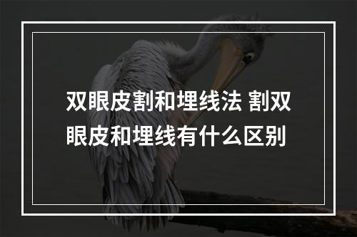 双眼皮割和埋线法 割双眼皮和埋线有什么区别