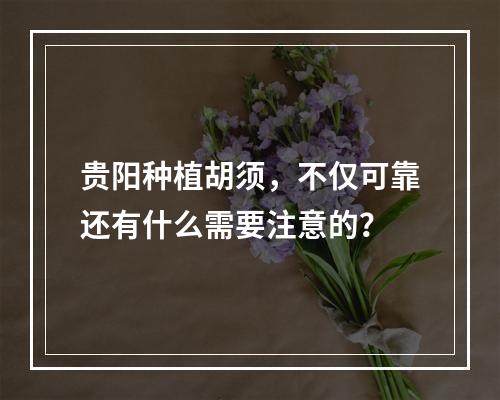 贵阳种植胡须，不仅可靠还有什么需要注意的？