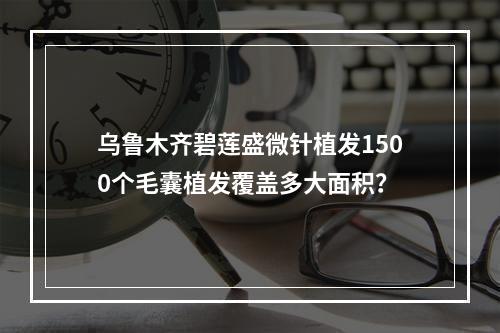 乌鲁木齐碧莲盛微针植发1500个毛囊植发覆盖多大面积？