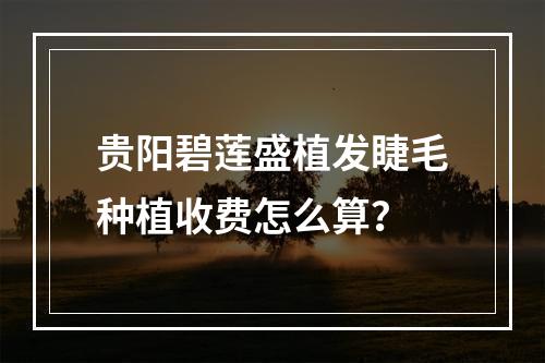 贵阳碧莲盛植发睫毛种植收费怎么算？