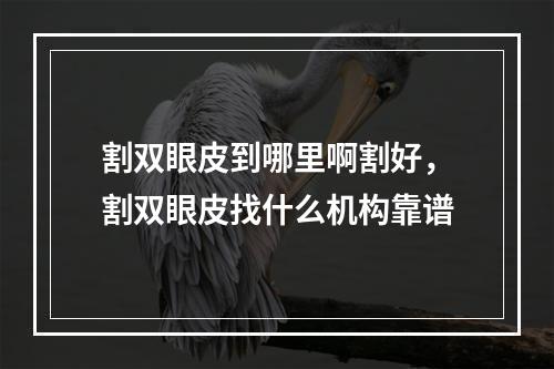 割双眼皮到哪里啊割好，割双眼皮找什么机构靠谱