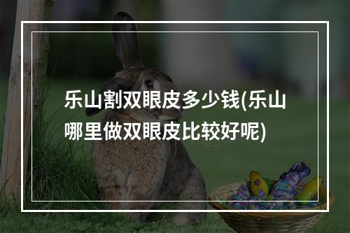 乐山割双眼皮多少钱(乐山哪里做双眼皮比较好呢)