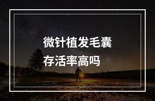 微针植发毛囊存活率高吗