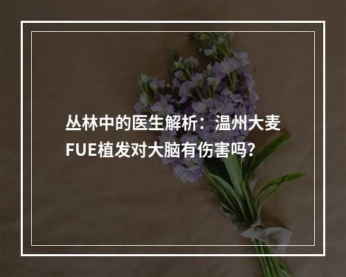 丛林中的医生解析：温州大麦FUE植发对大脑有伤害吗？