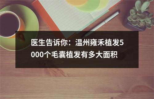 医生告诉你：温州雍禾植发5000个毛囊植发有多大面积