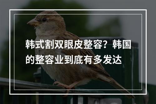 韩式割双眼皮整容？韩国的整容业到底有多发达