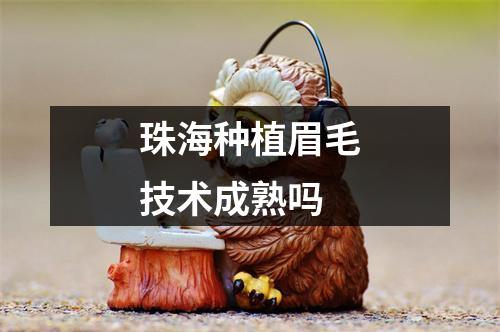 珠海种植眉毛技术成熟吗