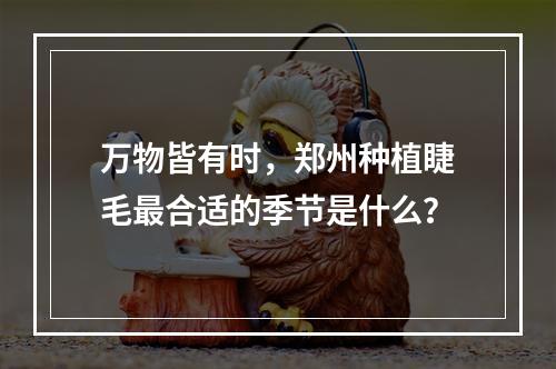 万物皆有时，郑州种植睫毛最合适的季节是什么？