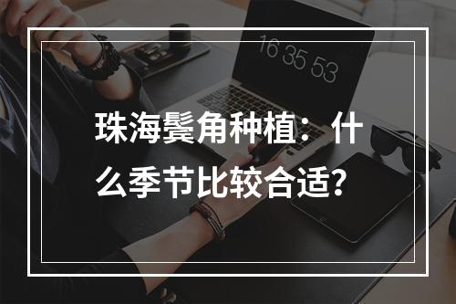 珠海鬓角种植：什么季节比较合适？