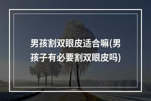 男孩割双眼皮适合嘛(男孩子有必要割双眼皮吗)