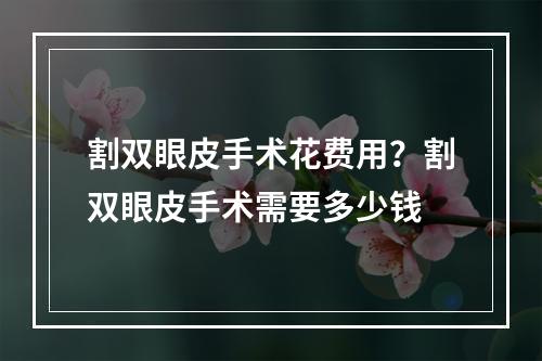 割双眼皮手术花费用？割双眼皮手术需要多少钱