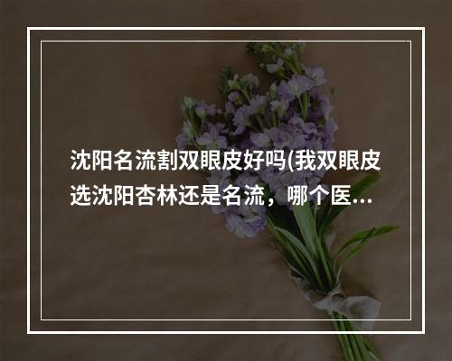 沈阳名流割双眼皮好吗(我双眼皮选沈阳杏林还是名流，哪个医生好)