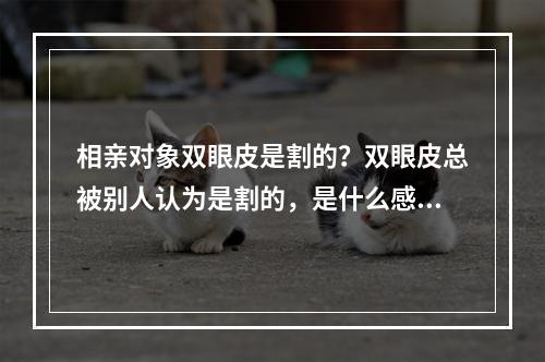 相亲对象双眼皮是割的？双眼皮总被别人认为是割的，是什么感受