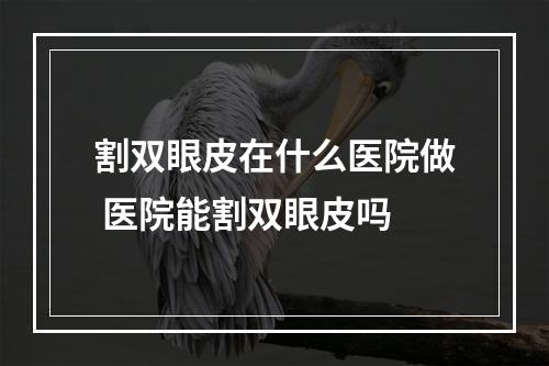 割双眼皮在什么医院做 医院能割双眼皮吗