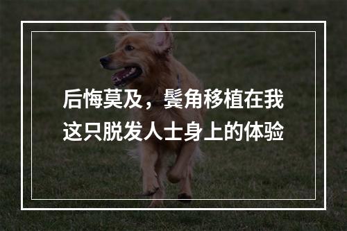 后悔莫及，鬓角移植在我这只脱发人士身上的体验